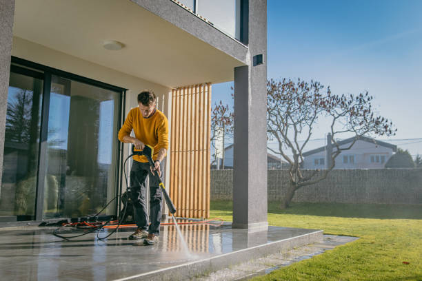 Best Gutter Cleaning  in Stevensville, MI